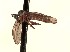  ( - CNC1155790)  @11 [ ] No Rights Reserved (nrr) (2022) Unspecified CNC