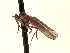  ( - CNC1155791)  @11 [ ] No Rights Reserved (nrr) (2022) Unspecified CNC