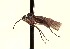  ( - CNC1155792)  @11 [ ] No Rights Reserved (nrr) (2022) Unspecified CNC