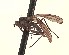  ( - CNC1155793)  @11 [ ] No Rights Reserved (nrr) (2022) Unspecified CNC