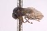  ( - CNC1307963)  @11 [ ] No Rights Reserved (nrr) (2025) Unspecified CNC
