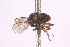  ( - CNC1307965)  @11 [ ] No Rights Reserved (nrr) (2025) Unspecified CNC