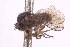  ( - CNC1307968)  @11 [ ] No Rights Reserved (nrr) (2025) Unspecified CNC