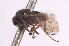  (Enlinia magistri - CNC1307971)  @11 [ ] No Rights Reserved (nrr) (2025) Unspecified CNC