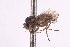  ( - CNC1307973)  @11 [ ] No Rights Reserved (nrr) (2025) Unspecified CNC