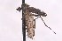  ( - CNC1434490)  @11 [ ] No Rights Reserved (nrr) (2025) Unspecified CNC