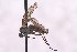  ( - CNC1434491)  @11 [ ] No Rights Reserved (nrr) (2025) Unspecified CNC