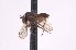  ( - CNC1434502)  @11 [ ] No Rights Reserved (nrr) (2025) Unspecified CNC