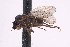  ( - CNC1434503)  @11 [ ] No Rights Reserved (nrr) (2025) Unspecified CNC