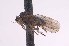  ( - CNC1434505)  @11 [ ] No Rights Reserved (nrr) (2025) Unspecified CNC