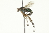  ( - CNC DIPTERA 163057)  @14 [ ] CreativeCommons - Attribution (2012) CNC/CBG Photography Group Centre for Biodiversity Genomics