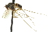  ( - CNC DIPTERA 163086)  @11 [ ] CreativeCommons - Attribution (2012) CNC/CBG Photography Group Centre for Biodiversity Genomics