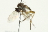 ( - CCDB-03497 H06)  @13 [ ] CreativeCommons - Attribution (2011) CBG Photography Group Centre for Biodiversity Genomics