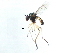  ( - BIOUG00767-G11)  @13 [ ] CreativeCommons - Attribution (2011) CBG Photography Group Centre for Biodiversity Genomics