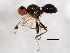  ( - BIOUG00785-C05)  @12 [ ] CreativeCommons - Attribution (2011) CBG Photography Group Centre for Biodiversity Genomics