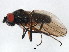  ( - BIOUG00819-B04)  @13 [ ] CreativeCommons - Attribution (2011) CBG Photography Group Centre for Biodiversity Genomics