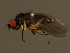  ( - BIOUG00780-A11)  @12 [ ] CreativeCommons - Attribution (2011) CBG Photography Group Centre for Biodiversity Genomics