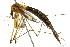  ( - BIOUG01014-H04)  @13 [ ] CreativeCommons - Attribution (2011) CBG Photography Group Centre for Biodiversity Genomics