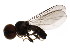  ( - BIOUG01341-E01)  @12 [ ] CreativeCommons - Attribution (2011) CBG Photography Group Centre for Biodiversity Genomics