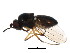  ( - BIOUG01341-E12)  @12 [ ] CreativeCommons - Attribution (2011) CBG Photography Group Centre for Biodiversity Genomics