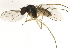  ( - BIOUG01865-E03)  @13 [ ] CreativeCommons - Attribution (2011) CBG Photography Group Centre for Biodiversity Genomics