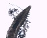  ( - DPDP-0237)  @11 [ ] No Rights Reserved (2015) Unspecified Unspecified