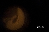  ( - DPDP-0282)  @11 [ ] No Rights Reserved (2015) Unspecified Unspecified