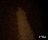  ( - DPDP-0283)  @11 [ ] No Rights Reserved (2015) Unspecified Unspecified