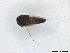  ( - Y13-2)  @11 [ ] CreativeCommons  Attribution Non-Commercial Share-Alike (2022) Unspecified Hennan Agricultural University