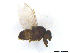 ( - Y8-2)  @11 [ ] CreativeCommons  Attribution Non-Commercial Share-Alike (2022) Unspecified Hennan Agricultural University