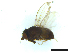  ( - Y8-3)  @11 [ ] CreativeCommons  Attribution Non-Commercial Share-Alike (2022) Unspecified Hennan Agricultural University