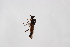  ( - Str20190086)  @11 [ ] CreativeCommons  Attribution Non-Commercial Share-Alike (2021) zhang tingting Shandong Agricultural University