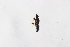  ( - Str20210004)  @11 [ ] CreativeCommons  Attribution Non-Commercial Share-Alike (2021) zhang tingting Shandong Agricultural University