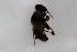  ( - Syr20190031)  @11 [ ] CreativeCommons  Attribution Non-Commercial Share-Alike (2021) zhang tingting Shandong Agricultural University