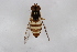  ( - Syr20190044)  @11 [ ] CreativeCommons  Attribution Non-Commercial Share-Alike (2021) zhang tingting Shandong Agricultural University