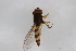  ( - Syr20190044)  @11 [ ] CreativeCommons  Attribution Non-Commercial Share-Alike (2021) zhang tingting Shandong Agricultural University