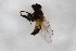  ( - Syr20200157)  @11 [ ] CreativeCommons  Attribution Non-Commercial Share-Alike (2021) zhang tingting Shandong Agricultural University