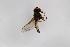  ( - Syr20210617)  @11 [ ] CreativeCommons  Attribution Non-Commercial Share-Alike (2021) zhang tingting Shandong Agricultural University