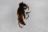  ( - Syr20210624)  @11 [ ] CreativeCommons  Attribution Non-Commercial Share-Alike (2021) zhang tingting Shandong Agricultural University