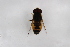 ( - Syr20210626)  @11 [ ] CreativeCommons  Attribution Non-Commercial Share-Alike (2021) zhang tingting Shandong Agricultural University