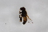  ( - Syr20210626)  @11 [ ] CreativeCommons  Attribution Non-Commercial Share-Alike (2021) zhang tingting Shandong Agricultural University