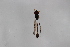  ( - Syr20210677)  @11 [ ] CreativeCommons  Attribution Non-Commercial Share-Alike (2021) zhang tingting Shandong Agricultural University