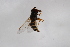  ( - Syr20211178)  @11 [ ] CreativeCommons  Attribution Non-Commercial Share-Alike (2021) zhang tingting Shandong Agricultural University