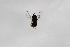  ( - Syr20211213)  @11 [ ] CreativeCommons  Attribution Non-Commercial Share-Alike (2021) zhang tingting Shandong Agricultural University