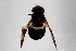  ( - Syr20211304)  @11 [ ] CreativeCommons  Attribution Non-Commercial Share-Alike (2021) zhang tingting Shandong Agricultural University