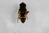  ( - Syr20211958)  @11 [ ] CreativeCommons  Attribution Non-Commercial Share-Alike (2021) zhang tingting Shandong Agricultural University