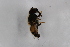  ( - Syr20211958)  @11 [ ] CreativeCommons  Attribution Non-Commercial Share-Alike (2021) zhang tingting Shandong Agricultural University
