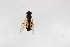  ( - Syr20212178)  @11 [ ] CreativeCommons  Attribution Non-Commercial Share-Alike (2021) zhang tingting Shandong Agricultural University