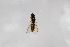  ( - Syr20212330)  @11 [ ] CreativeCommons  Attribution Non-Commercial Share-Alike (2021) zhang tingting Shandong Agricultural University