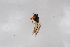  ( - Syr20212330)  @11 [ ] CreativeCommons  Attribution Non-Commercial Share-Alike (2021) zhang tingting Shandong Agricultural University